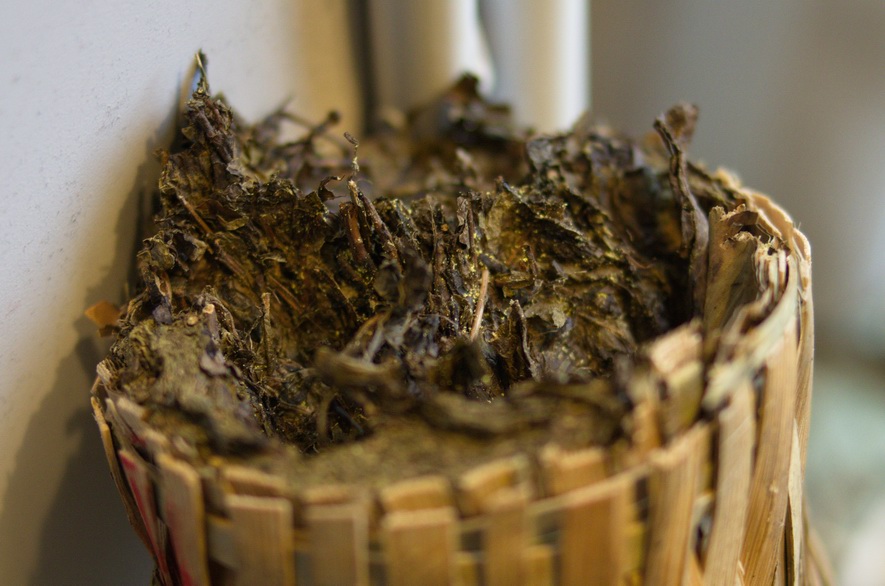 百两茶_金花