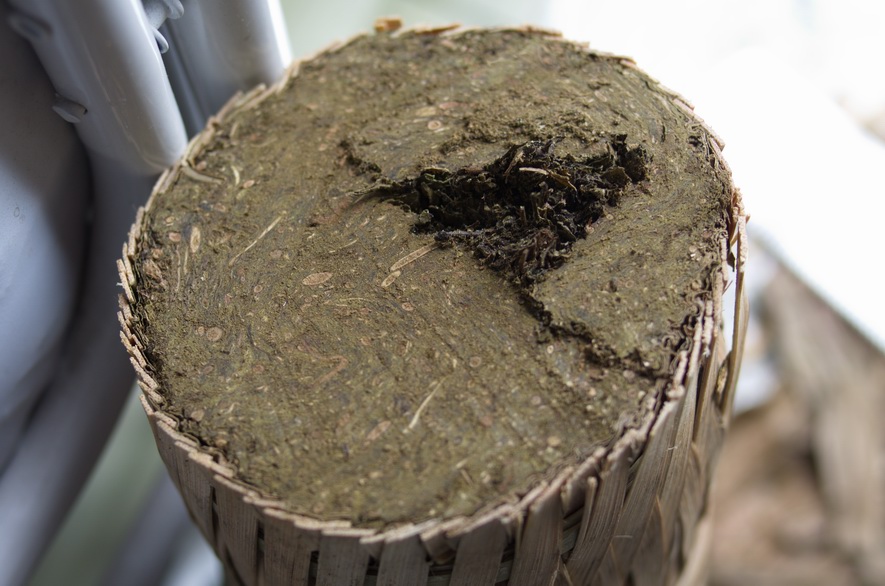 高马二溪_百两茶